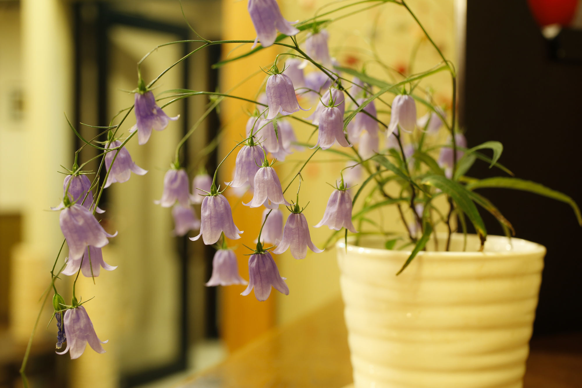 Ryokan Kutsuroginoya Yuu Takayama  Dış mekan fotoğraf